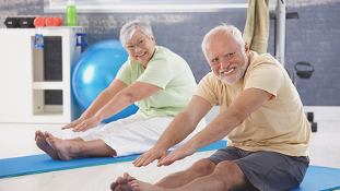 therapeutic exercises for knee osteoarthritis