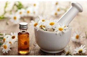Chamomile flower-based phytopreparations for the treatment of osteoarthritis